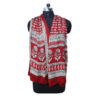 Stole Bagh Print Pure Silk Maroon - Image 3